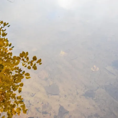 Moekki Mikkola By Interhome Дом отдыха