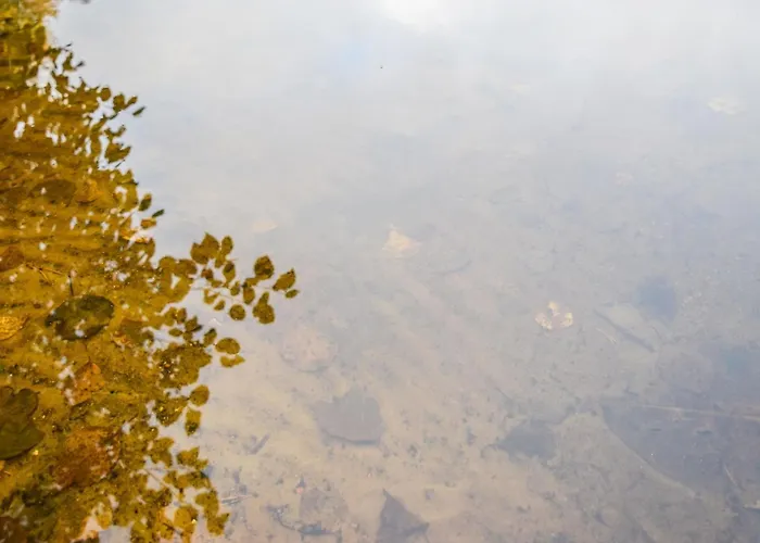 Moekki Mikkola By Interhome Дом отдыха